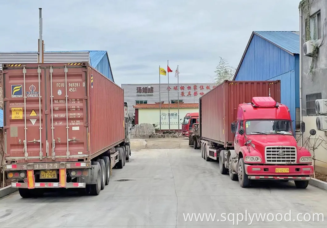 9/12/18mm Melamine Film Faced Poplar Pine Birch Marine Laminated Veneer Shuttering Plywood